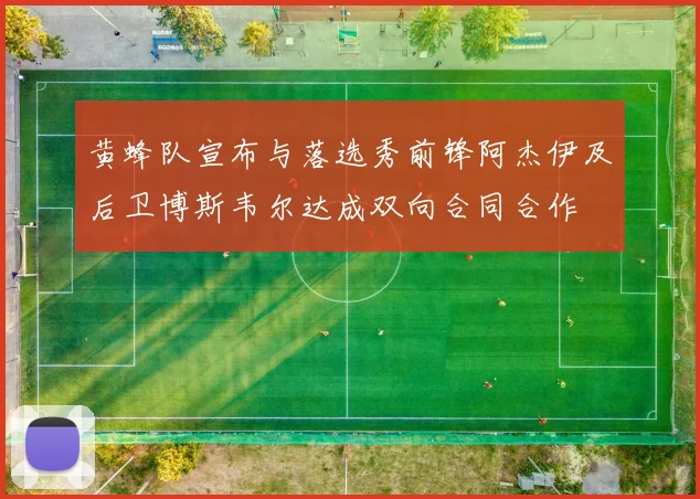 黄蜂队宣布与落选秀前锋阿杰伊及后卫博斯韦尔达成双向合同合作